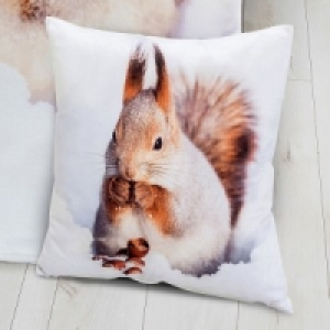 Kissen 4.99&nbsp;&euro;