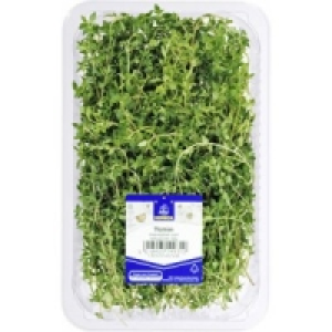 Frischer Thymian/Zitronenthymian