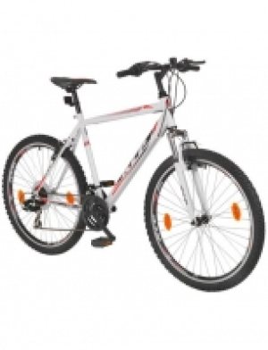Mountainbike ONE, 26 Zoll, 21 Gang, V-Bremsen
