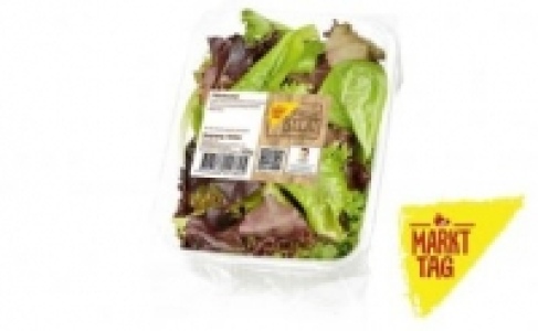 Pflücksalat 0.79 €