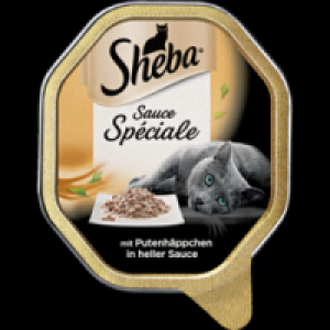 Sauce Spéciale mit Putenhäppchen in heller Sauce 0.35 €