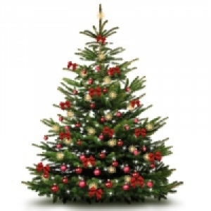 Weihnachtsbaum 7.99 €