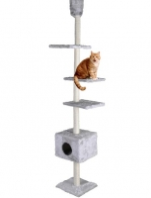 Kratzbaum-Deckenspanner Kratzturm