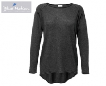 Blue Motion Longpullover 9.99 €