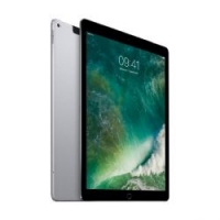 Cyberport Apple Apple Ipad Pro 12,9 Apple iPad Pro 12,9 Zoll 2015 Wi-Fi + Cellular 256 GB Spacegrau (ML2L2FD/A