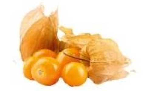 Physalis 0.88 €