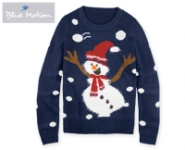 Blue Motion Weihnachts-Pullover
