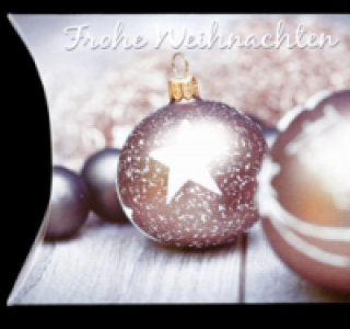 SCHLUCKWERDER Kissenpackung 0.99 €