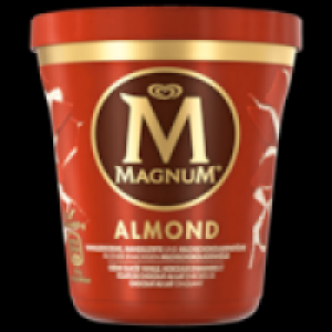 Langnese Magnum Pints 2.99&nbsp;&euro;