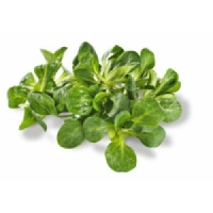 Feldsalat