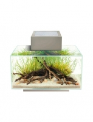 Aquarium Edge I