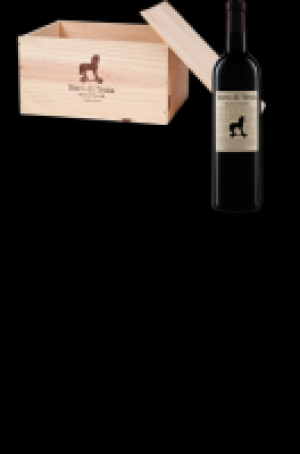 Nero di Troia Duca dAscoli IGT Kiste 42.00 €