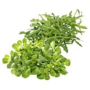 Frankreich Feldsalat oder Italien Rucola Salat 0.79 €