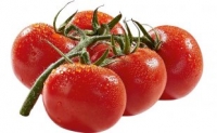 Netto  Rispen-Tomaten lose