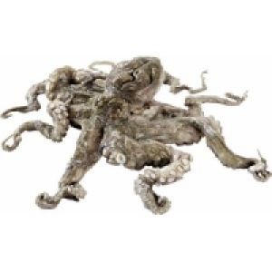 Pulpo