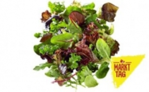 Pflücksalat 0.99 €