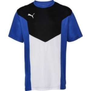 Puma Herren Fu&szlig;ball Trainingsshirt 19.00&nbsp;&euro;