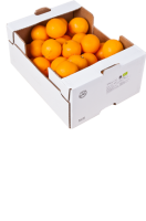 Ebl Naturkost Italienische 7 kg Saft-Orangen Washington Navel