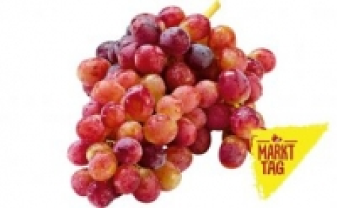 Trauben dunkel kernlos 1.99 €