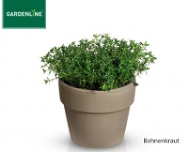 GARDENLINE®Gewürzkräuter im Terrakottaübertopf