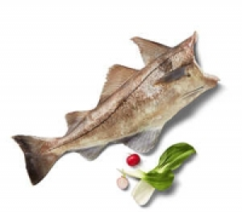 Schellfisch 1.19&nbsp;&euro;