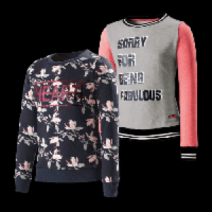Sweatshirt 6.99 €