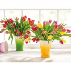 Tulpenstrau&szlig; 1.99&nbsp;&euro;