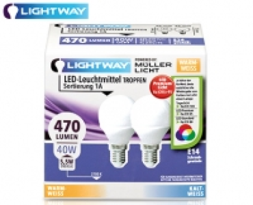 LIGHTWAY®LED-Leuchtmittel, nicht dimmbar, 2er-Set 4.99 €