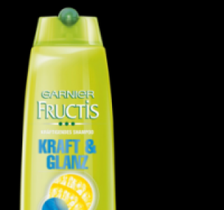 GARNIER FRUCTIS Shampoo 1.99&nbsp;&euro;