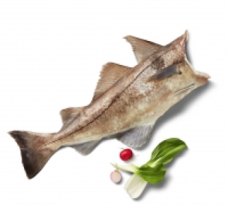 Skrei Winterkabeljau 1.49&nbsp;&euro;