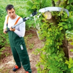 Teleskop-Baumsäge 29.99 €