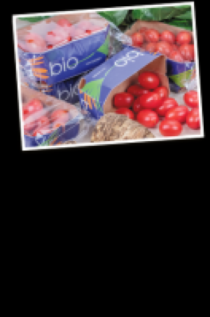 Cherrytomaten Pera 1.27 €