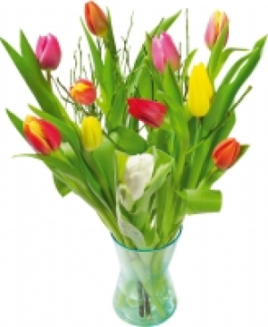 Tulpenstrau&szlig; 3.99&nbsp;&euro;
