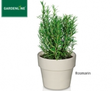 GARDENLINE®Italienische Gewürzkräuter