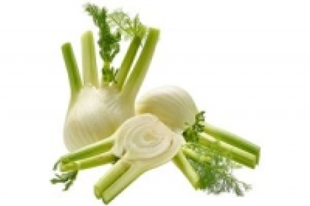 Fenchel 2.49 €
