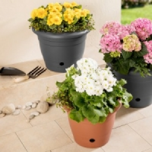 Blumentopf Flora 3.99 €