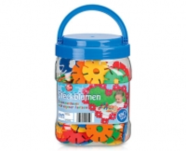 Aldi Süd  Steckblumen