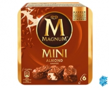 MAGNUM®Mini