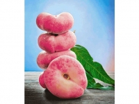 Lidl  Teller-Pfirsich PlatiforTWO®, Pfirsichbaum 1 Pflanze, Prunus persica