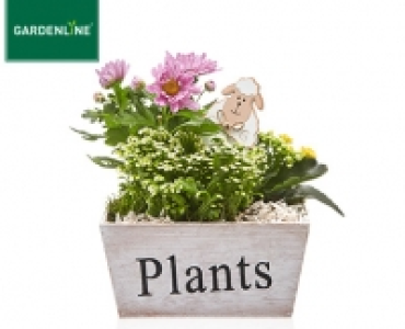 GARDENLINE®Ostertopf oder -kranz 5.99 €