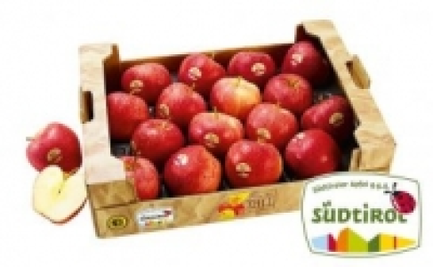Äpfel rot 4.99 €