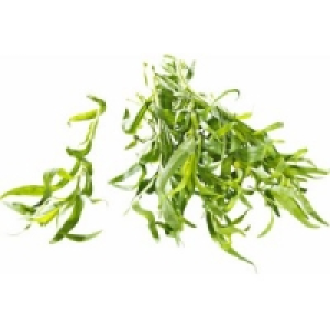 Frischer Estragon 2.29&nbsp;&euro;