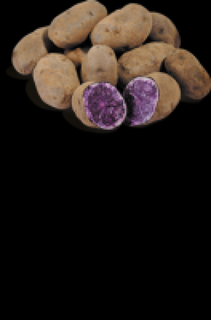 Kartoffeln Salad Blue 1.97 €