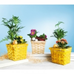 Dekorativer Osterkorb 3.99 €