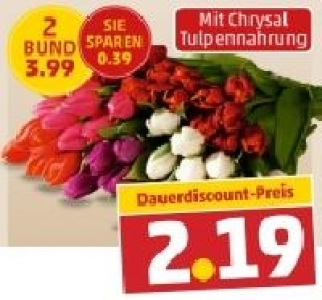 Tulpen 2.19 €