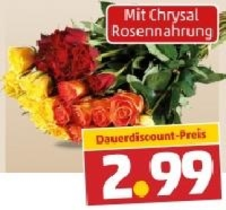 Fairtrade Rosen 2.99 €