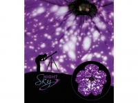 Lidl  Hänge-Petunie Night Sky® 3 Pflanzen Petunia