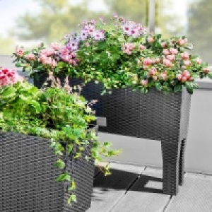 Pflanzkasten 2in1 22.99 €