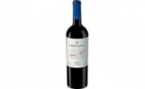 Netto  Montgras Reserva Especial Merlot