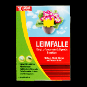 Leimfalle 3.99 €